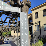 Photo n°3 de l'avis de Salvatore.c fait le 13/12/2023 à 18:04 sur le  TERRAZZA PARADISO DI GIACOMO PELFINI à Arona