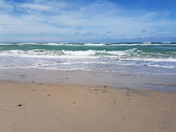Φωτογραφία του Svinklov Beach ubicado en área natural