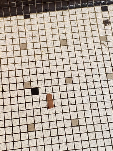 Gym «LA Fitness», reviews and photos, 4949 W 147th St, Hawthorne, CA 90250, USA