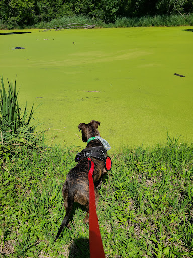 Nature Preserve «Hawthorne Hill Nature Center», reviews and photos, 28 Brookside Dr, Elgin, IL 60123, USA