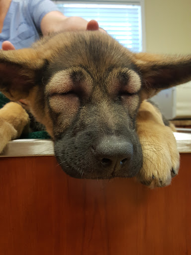 2789 S Hwy 29, Moreland, GA 30259, USA