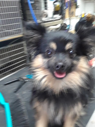 Pet Supply Store «Pets For You», reviews and photos, 413 N Main St, Rice Lake, WI 54868, USA