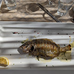 Photo n°2 de l'avis de Adela.a fait le 22/09/2023 à 12:34 sur le  Lido Azzurro Leuca à Marina di Leuca