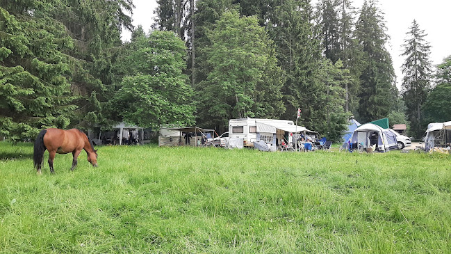 Kommentare und Rezensionen über Camping Saignelegier