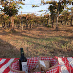 Photo n°1 de l'avis de Massimiliano.e fait le 15/09/2023 à 05:37 sur le  Le Breste Restaurant - Brattirò à Brattirò