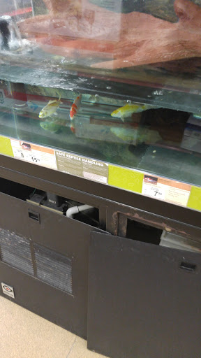 Pet Supply Store «Petco Animal Supplies», reviews and photos, 7201 Shoppes Dr #109, Melbourne, FL 32940, USA