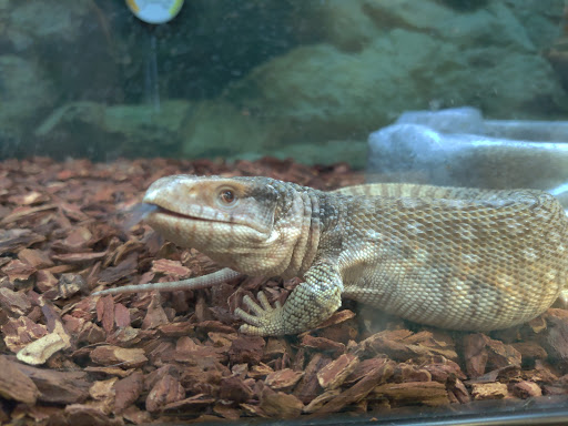 Pet Supply Store «Petco Animal Supplies», reviews and photos, 390 Universal Dr N, North Haven, CT 06473, USA