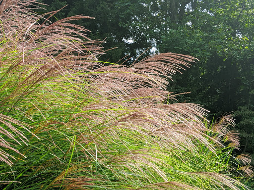 Park «Hart`s Brook Park and Preserve», reviews and photos, 156 Ridge Rd, Hartsdale, NY 10530, USA