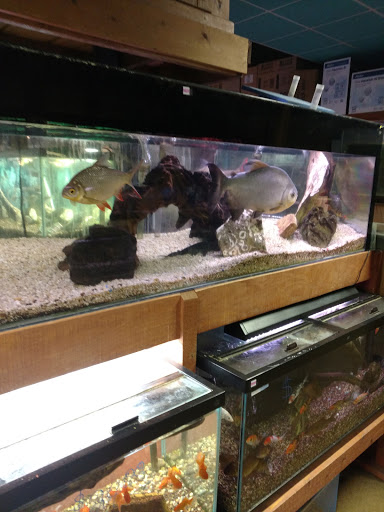 Pet Store «Aqualand Aquarium Center», reviews and photos, 5355 Chicago Ave, Minneapolis, MN 55417, USA