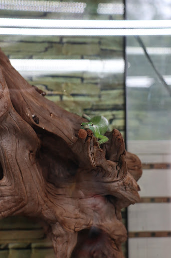 Pet Supply Store «Animal House Pets LLC», reviews and photos, 217 W 14th St, Marshfield, WI 54449, USA