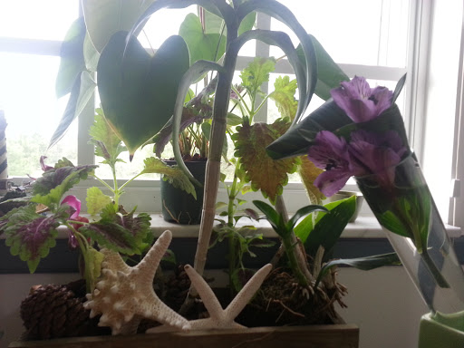 Florist «Concepts In Bloom», reviews and photos, 378 SE Port St Lucie Blvd #1004, Port St Lucie, FL 34984, USA