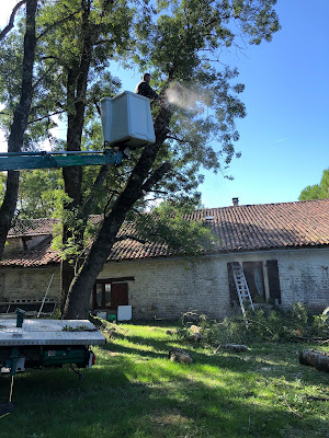 AJP Élagage à Saint-Sulpice-de-Cognac