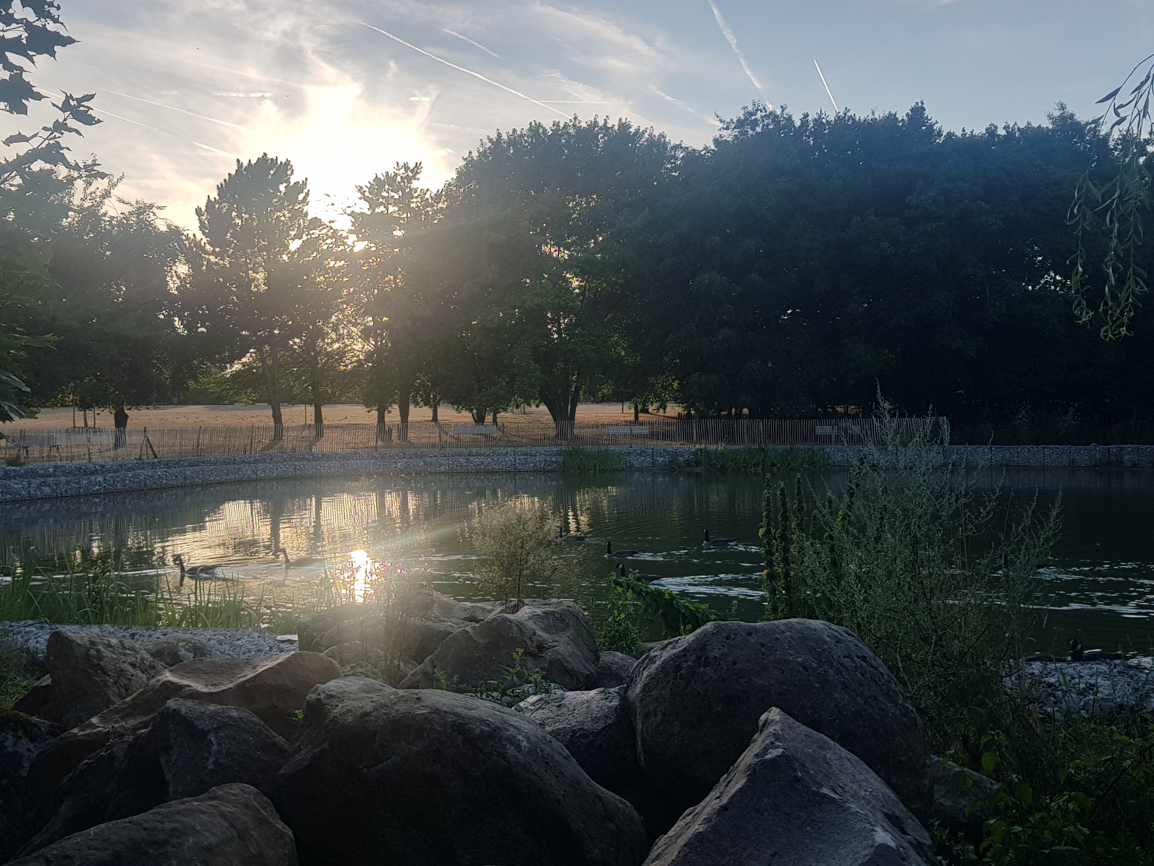 Photo n° 4 de l'avis de MATHIOT.Y fait le 29/07/2022 à 16:06