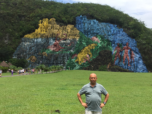 Marshall - Bodrum Makel Pazarlama