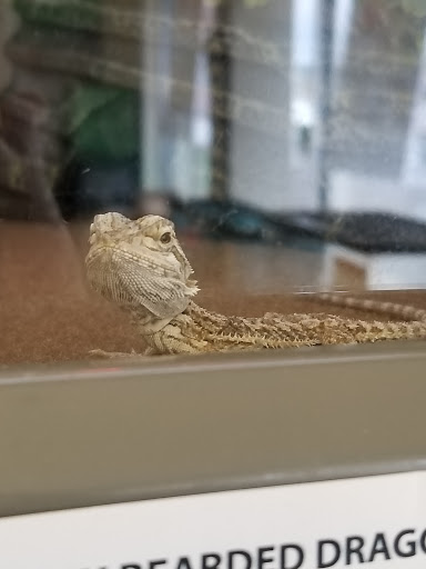 Pet Supply Store «Pet Supplies Plus», reviews and photos, 500 S St W, Raynham, MA 02767, USA