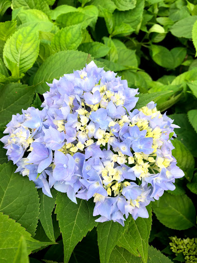 Garden Center «Stonewall Garden Center», reviews and photos, 4675 PA-447, Canadensis, PA 18325, USA