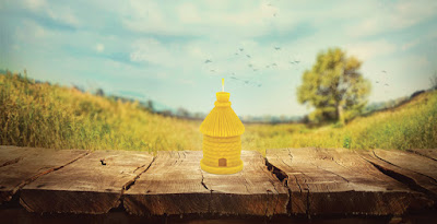 Cire d'Abeille à Couilly-Pont-aux-Dames