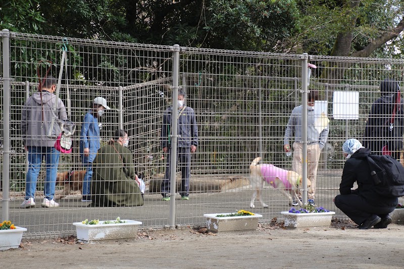 平和の森公園ドッグラン(大型犬)