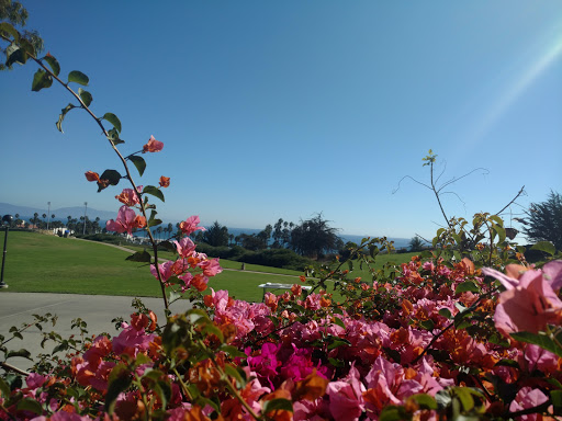 Community College «Santa Barbara City College», reviews and photos