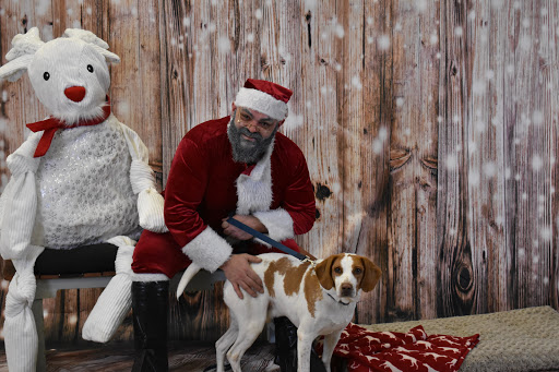 Pet Supply Store «Thomaston Feed of Cheshire», reviews and photos, 851 S Main St, Cheshire, CT 06410, USA