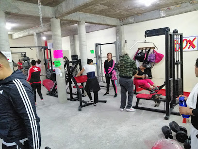 The gym fitness & boxing - Calle Monte Gitano, Calle Monte Alban, Las Canteras, 52774 Méx., Mexico