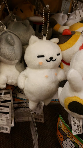 Book Store «Books-A-Million», reviews and photos, 8507 Kingston Pike, Knoxville, TN 37919, USA