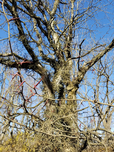 Park «Skiles Test Nature Park», reviews and photos, 6828 Fall Creek Rd, Indianapolis, IN 46220, USA