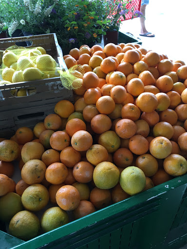 Produce Market «Nelson Family Farms», reviews and photos, 875 W Midway Rd, Fort Pierce, FL 34982, USA