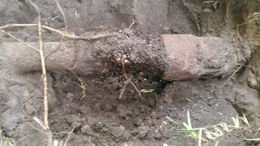 Plumber «Mr. Rooter Plumbing of Clearwater», reviews and photos, 1425 Sunset Point Rd, Clearwater, FL 33755, USA