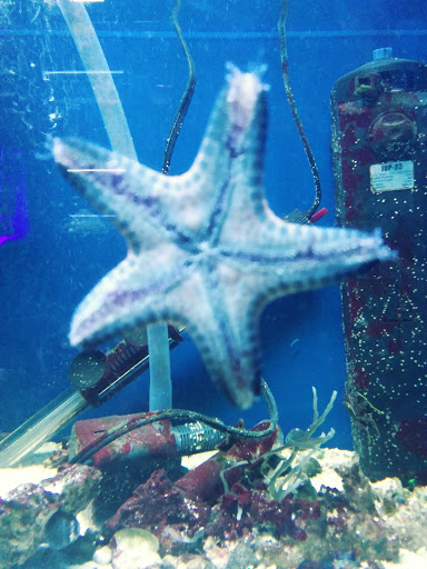 Shopping Mall «Airport Mall», reviews and photos, 1129 Union St, Bangor, ME 04401, USA