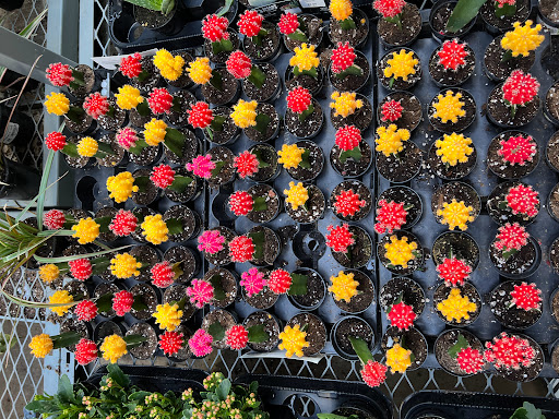 Home Improvement Store «The Home Depot», reviews and photos, 18333 120th Ave NE, Bothell, WA 98011, USA