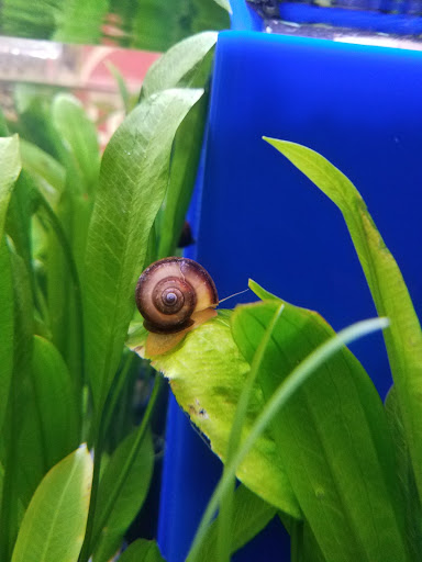 Pet Supply Store «Petco Animal Supplies», reviews and photos, 7215 170th Ave NE #115, Redmond, WA 98052, USA