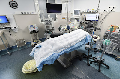 Dr Olivier DEJEAN - Chirurgien orthopédiste à Paris