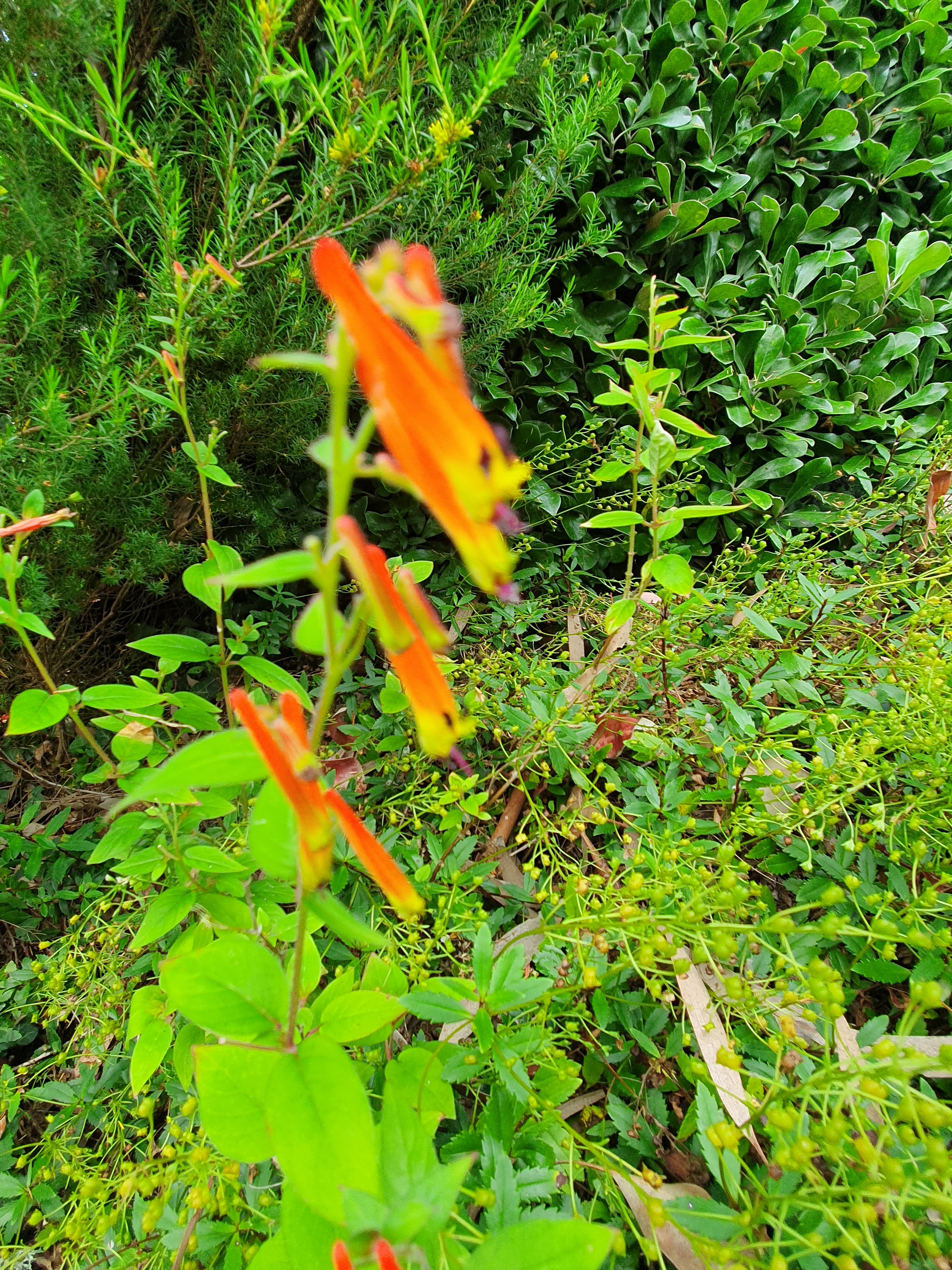 Photo n° 32 de l'avis de nicolas.a fait le 08/08/2021 à 16:30