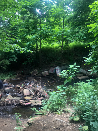 Nature Preserve «Brookside Preserve», reviews and photos, N Brookside Ave, Roosevelt, NY 11575, USA