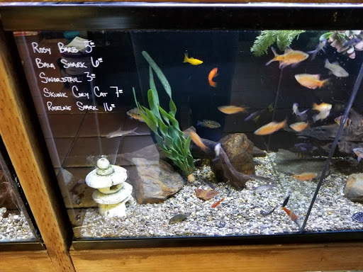 Pet Store «Sand Bar Pet Shop», reviews and photos, 25571 Marguerite Pkwy, Mission Viejo, CA 92692, USA