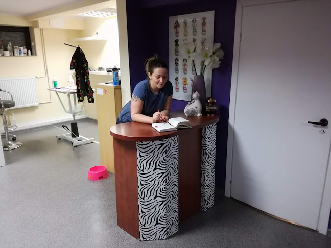 Gracja Salon groomerski & SPA