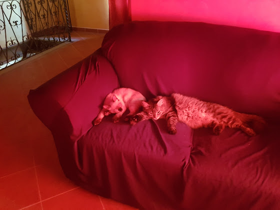 Photos des visiteurs Chambre d'hôtes Bed & Breakfast Il Sentiero del Lupo 12078 Ormea