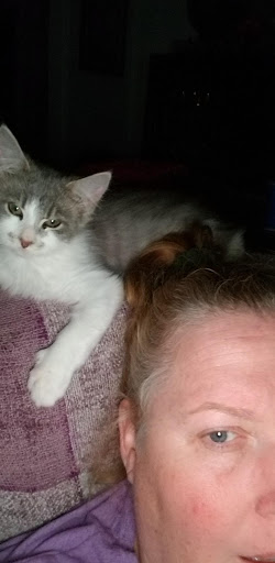 Non-Profit Organization «Humane Society Napa County - (Napa Humane)», reviews and photos