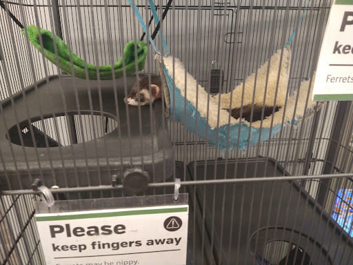 Pet Supply Store «Pet Supplies Plus», reviews and photos, 211 Golden Isles Plaza, Brunswick, GA 31520, USA