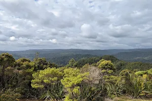 Waipoua Forest Scenic Lookout image