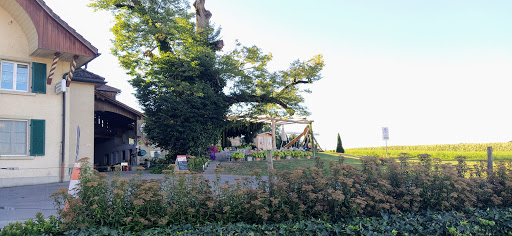 site_photo3