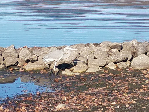 Golf Course «Richter Park Golf Course», reviews and photos, 100 Aunt Hack Rd, Danbury, CT 06811, USA