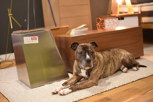 Furniture Store «MiY Home», reviews and photos, 1605 Eastern Ave, Baltimore, MD 21231, USA