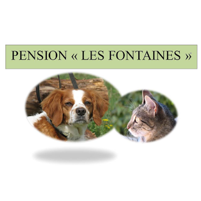 Pension Les Fontaines - BOUET Agnès EI à Saint-Génies-de-Malgoirès
