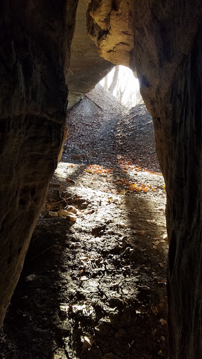 Nature Preserve «Engelmann Woods Natural Area», reviews and photos, 2360 Hwy D, Boles Township, MO 63304, USA