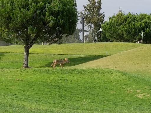 Arrowood Golf Course image