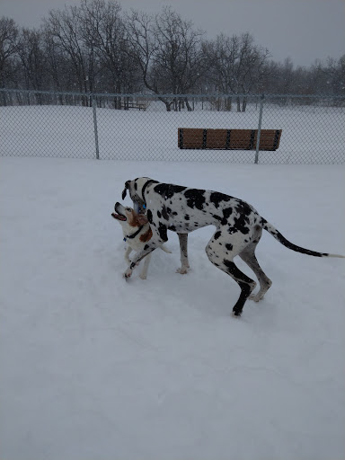 Dog Park «Bunker Hills Dog Park», reviews and photos, 1620 133rd Ave NW, Coon Rapids, MN 55448, USA