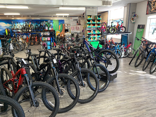 Bicycle Store «Bike Barn», reviews and photos, 4112 N 36th St, Phoenix, AZ 85018, USA