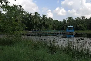 Sundarbans image